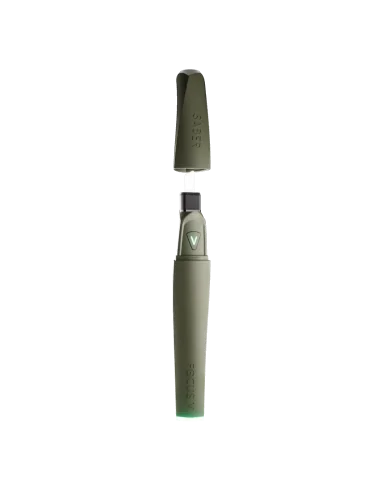 DABBER ELÉCTRICO SABER FOREST FOCUS V