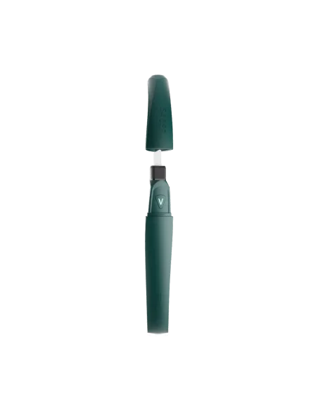 DABBER ELÉCTRICO SABER JADE FOCUS V