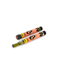 TUBO CONO G-ROLLZ TERPENE BLUNT X2 MANGO PULP 12 UDS UDS 2